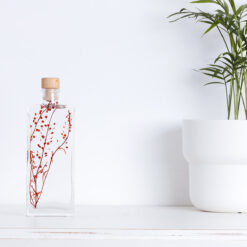 L'Herbarium de Théophile – Lepidium rouge – Plante immergée - H-17