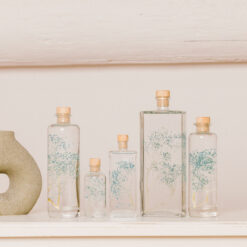 L'Herbarium de Théophile – Gypsophile bleue – Plante immergée