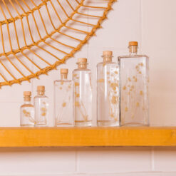 L'Herbarium de Théophile – Petit chardon blanc – Plante immergée