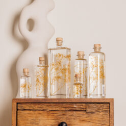 L'Herbarium de Théophile – Gypsophile Safran – Plante immergée