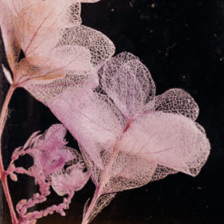 Alternative view of L'Herbarium de Théophile – Hortensia Feuille de chêne Lilas – Fleur immergée