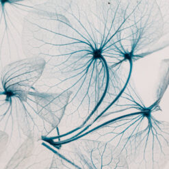 Alternative view of L'Herbarium - Trilogie Tour Eiffel Paris - Triptyque - La Bleue, la Blanche & la Rouge