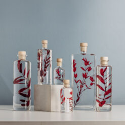 L'Herbarium de Théophile - Eucalyptus Parvifolia- Plante immergée