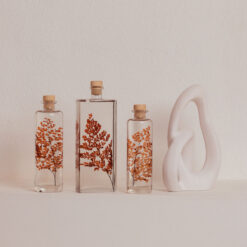 L'Herbarium de Théophile – Fougère Luthi terracotta – Plante immergée