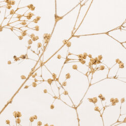 Alternative view of L'Herbarium de Théophile – Format XL Gypsophile Or 3 Litres - Plante immergée