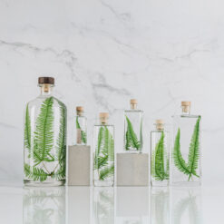 L'Herbarium de Théophile – Fougère des montagnes – Plante immergée