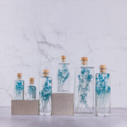 L'Herbarium de Théophile – Broom bloom turquoise – Plante immergée