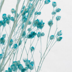 Alternative view of L'Herbarium de Théophile – Format XL Broom bloom turquoise 3 Litres - Plante immergée