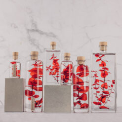 L'Herbarium de Théophile – Eucalyptus stuartiana rouge – Plante immergée