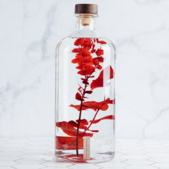 L'Herbarium de Théophile – Format XL Eucalyptus Stuartiana rouge 3 Litres - Plante immergée