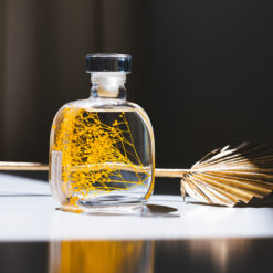 L'Herbarium de Théophile – Collection capsule Gypsophile safran - Plante immergée